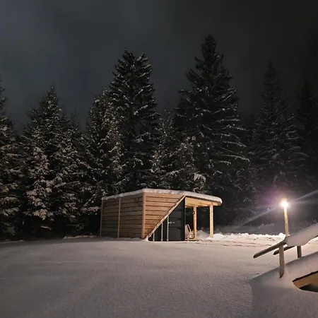 Ferienwohnung Woodbox Istebna Exterior foto